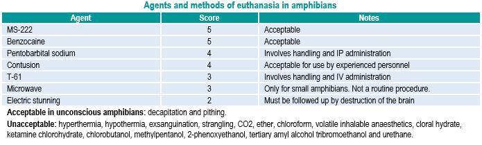 Euthanasia amphibians
